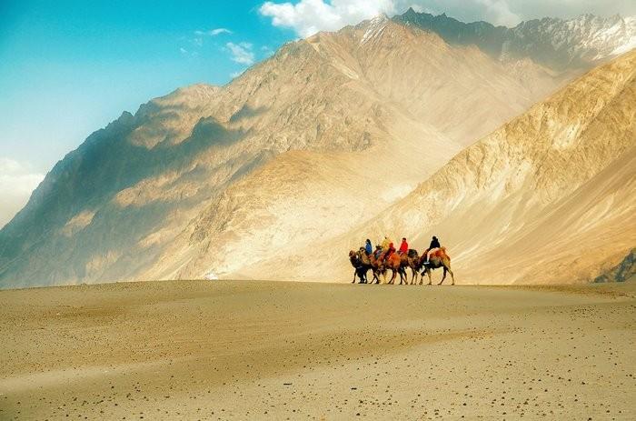 Kinh nghiệm du lịch Hunder Sand Dunes - Ladakh