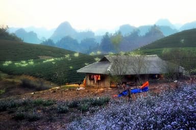 Du lịch Mộc Châu mùa nào là đẹp nhất?