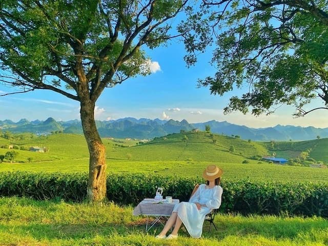 Kinh nghiệm du lịch Mộc Châu từ A-Z: Ăn gì, chơi gì, ở đâu?