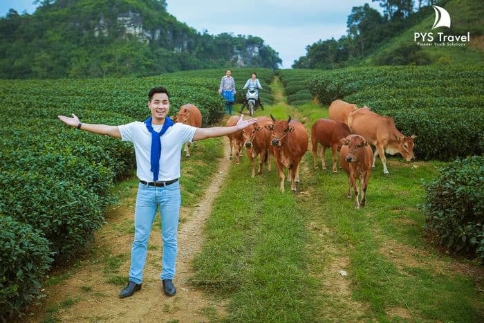 Chơi gì khi đi du lịch Mộc Châu tháng 9