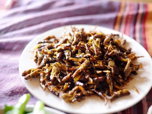 Châu Chấu rang mù cang chải
