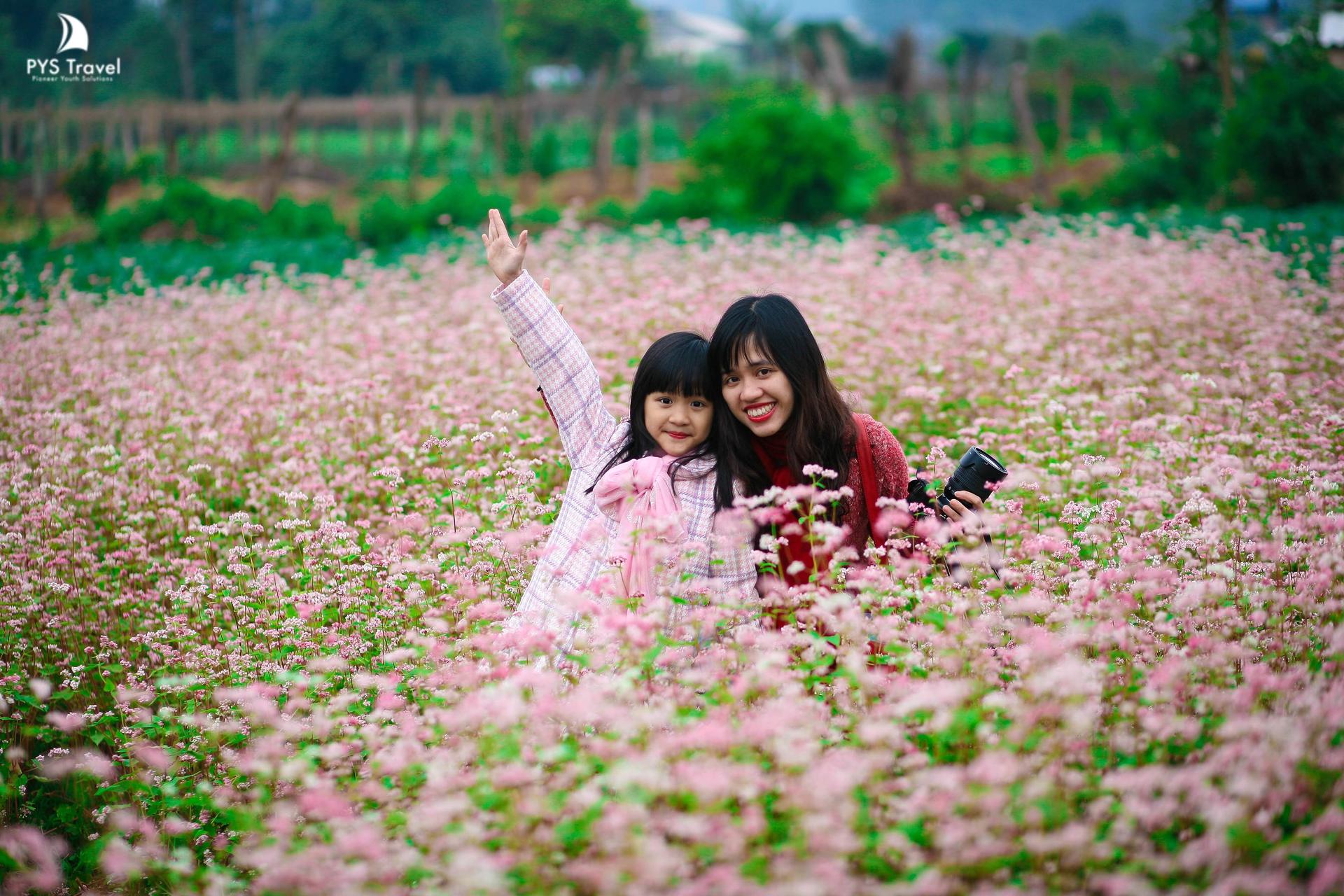 mùa hoa tam giác mạch mộc châu
