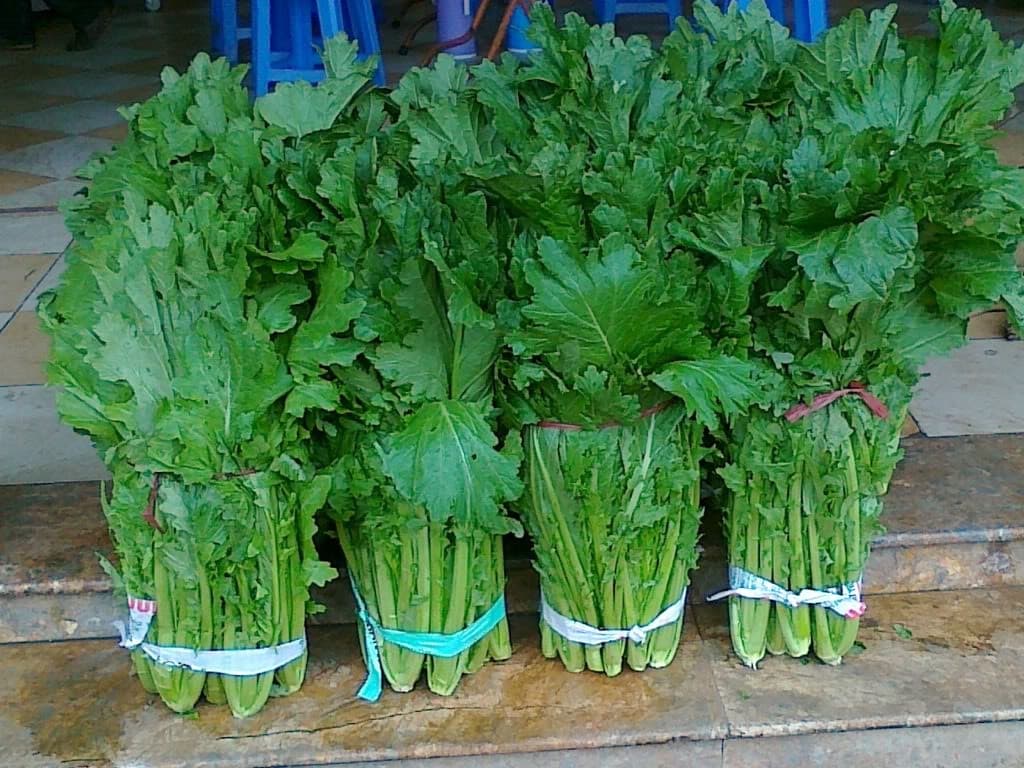 rau cải mèo