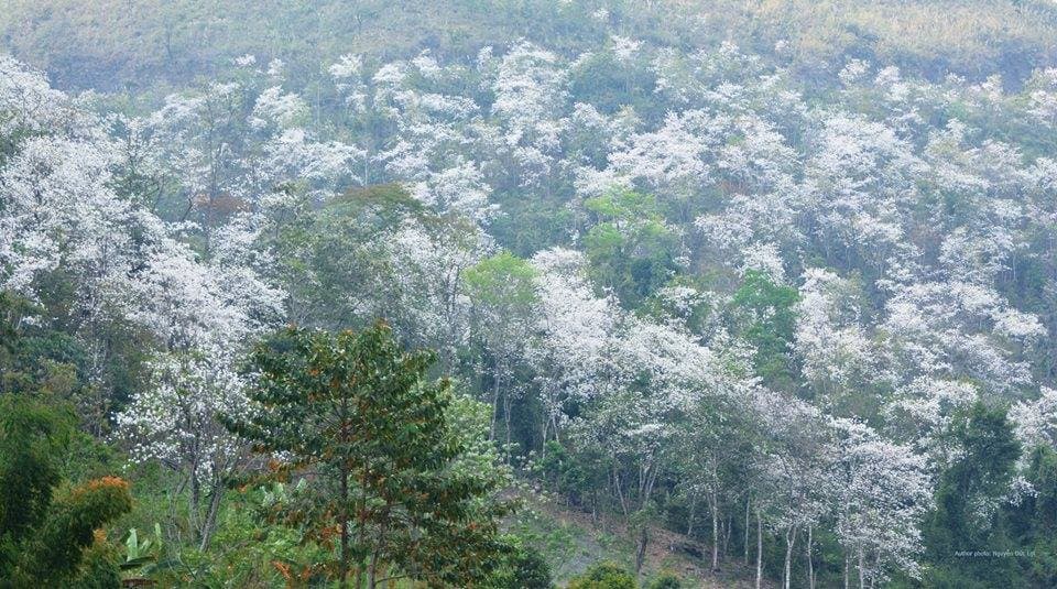 Điện Biên tháng 3