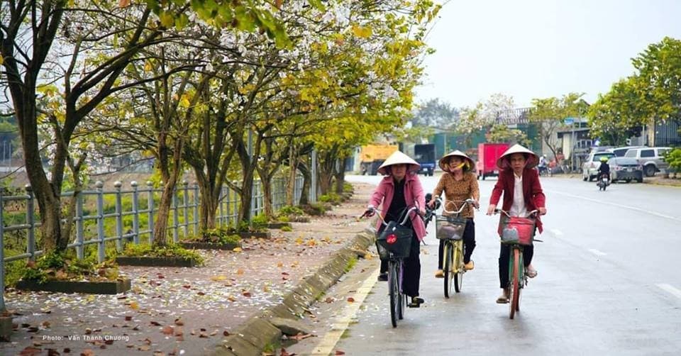 Lễ hội hoa ban Điện Biên