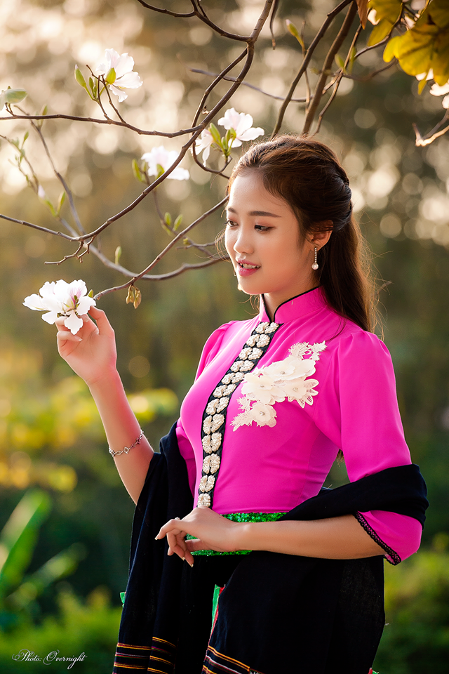 Điện Biên mùa hoa ban