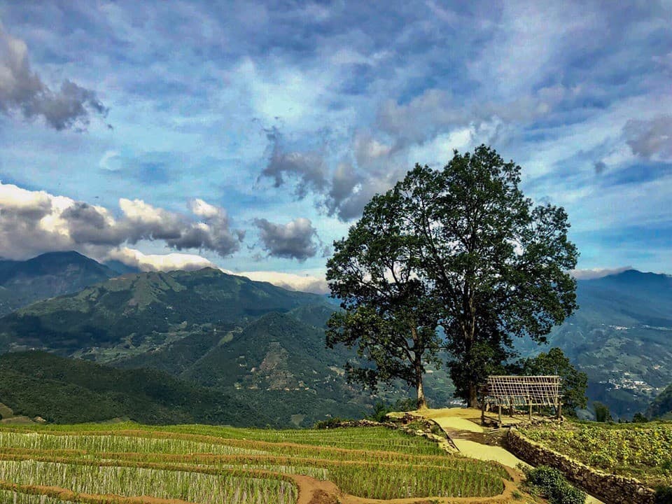 Mù Cang Chải Bản Thái