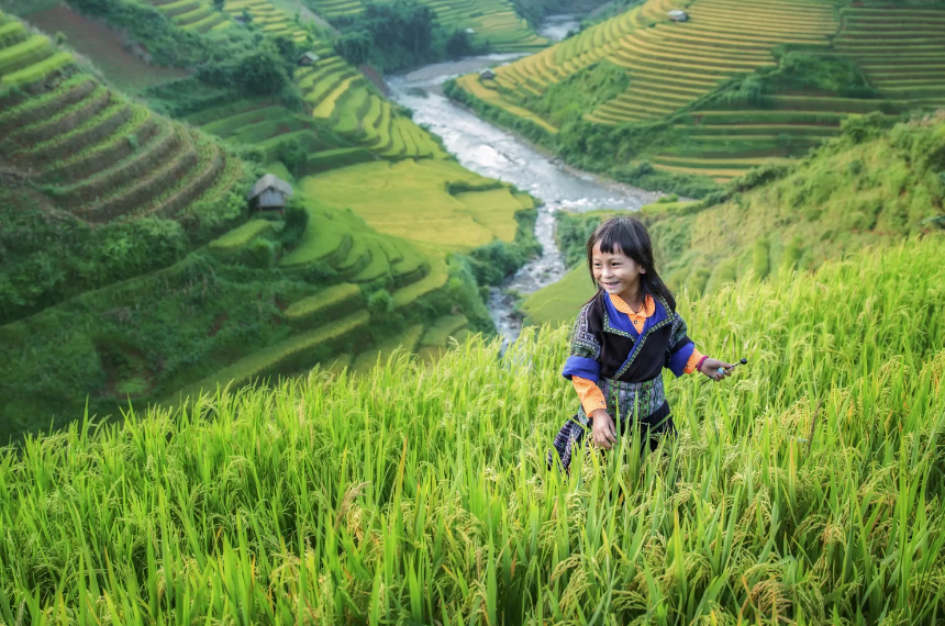 Mù Cang Chải tháng 8