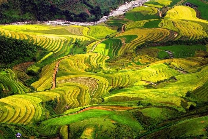 tú lệ