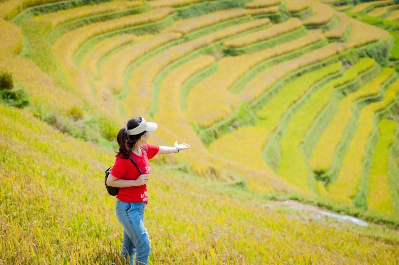 Ngắm nhìn những thửa ruộng bậc thang mù cang chải