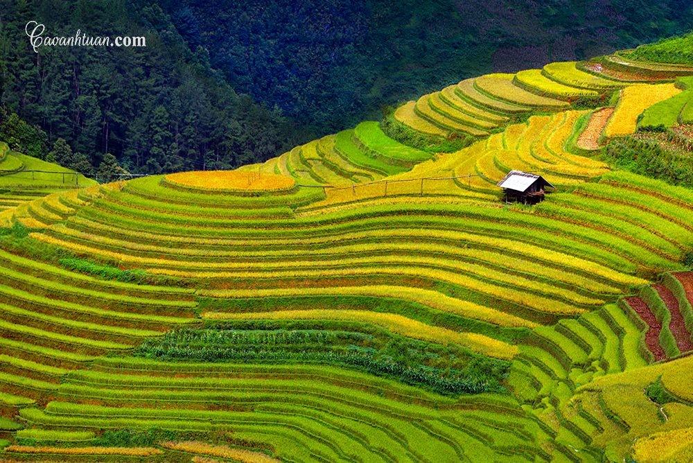 các điểm du lịch ở mù cang chải 