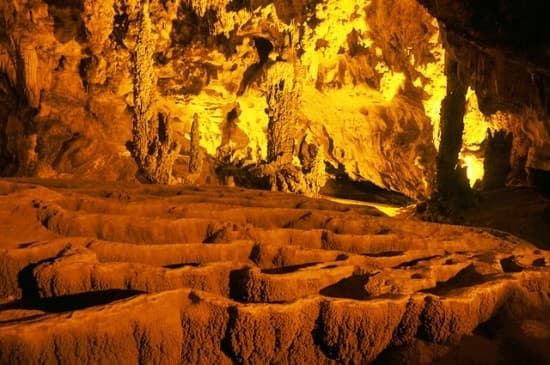 động ngườm ngao 