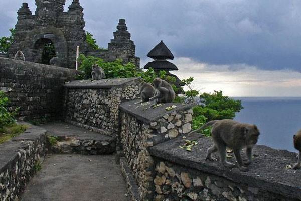 denUluwatu05.jpg