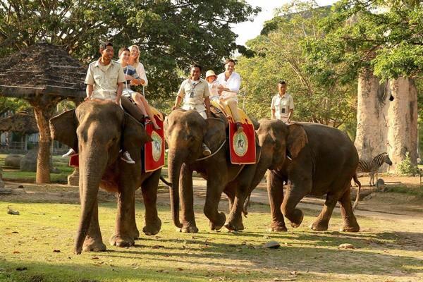 kham-pha-thien-nhien-hoang-da-tai-cong-vien-bali-safari-marine-park-4.jpg