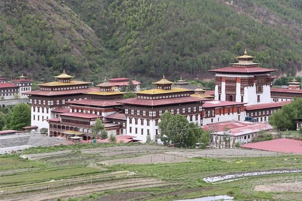 Bhutancotuviengi06.jpg