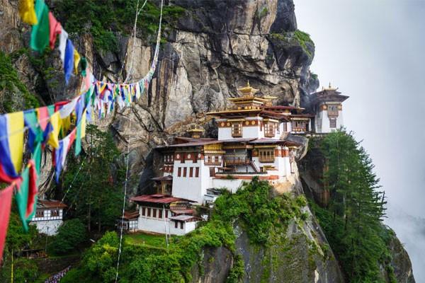Bhutancotuviengi03.jpg
