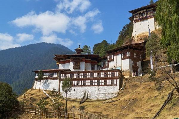 Bhutancotuviengi02.jpg
