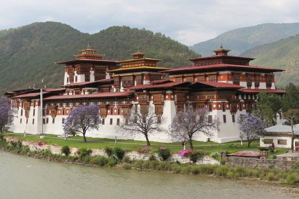 Bhutancotuviengi04.jpg