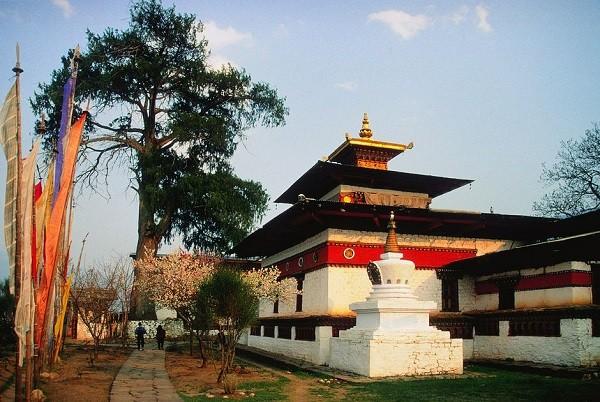 den-kyichu-paro-bhutan.jpg