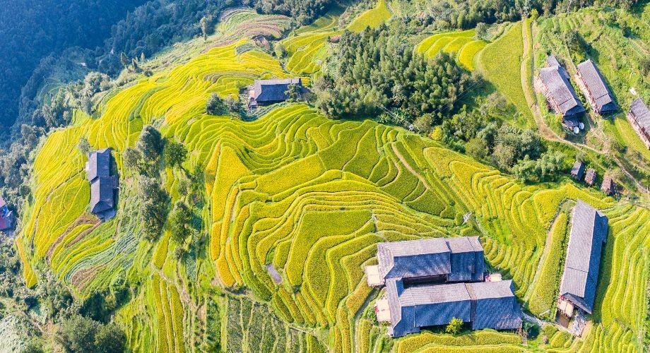 Ruộng bậc thang Long Tích