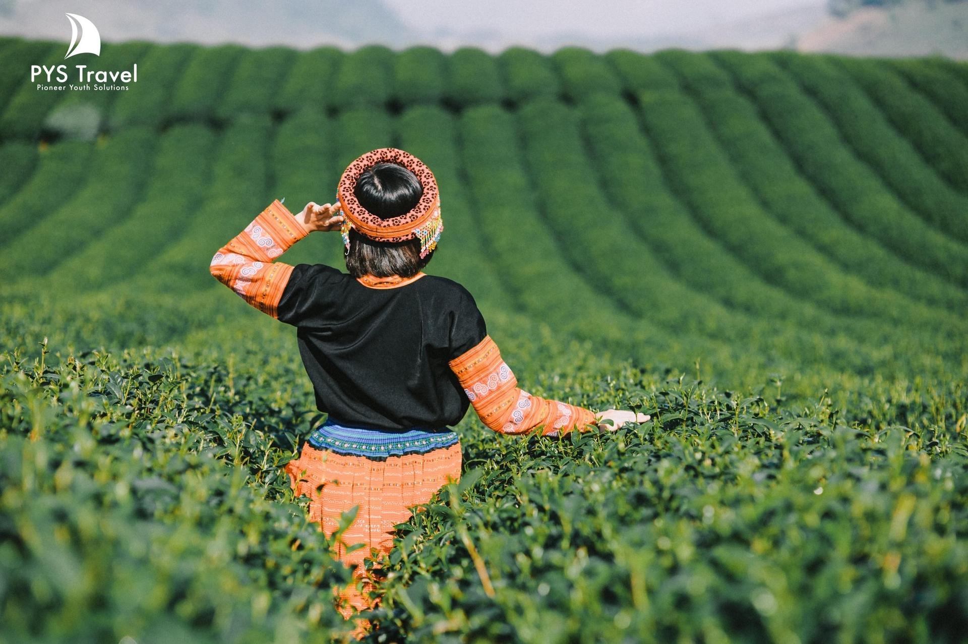 checkin tại đồi chè trái tim