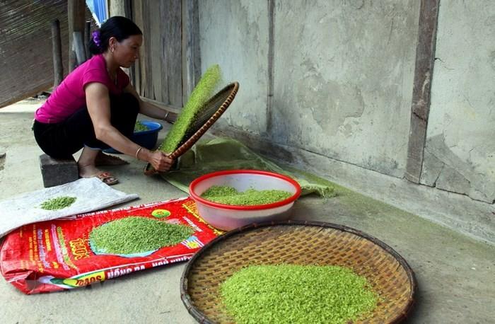 Cốm Tú Lệ