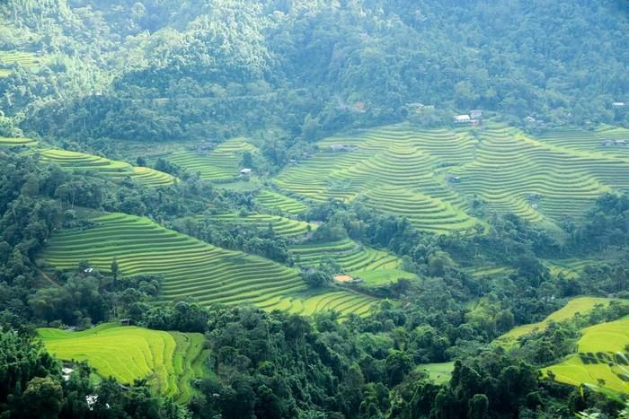 Ruộng bậc thang ở Hà Giang