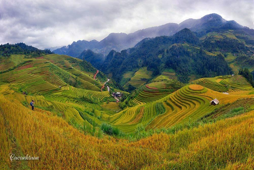 Bản Thái mù cang chải 