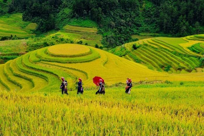 Lễ hội ruộng bậc thang Mù Cang Chải tháng 9