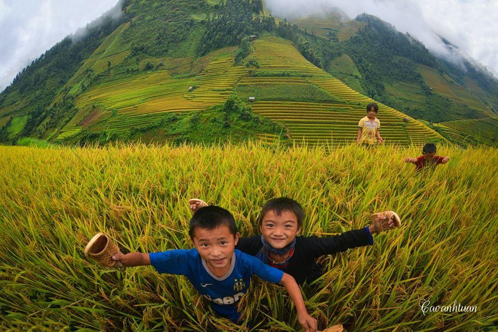 Mù Cang Chải tháng 9