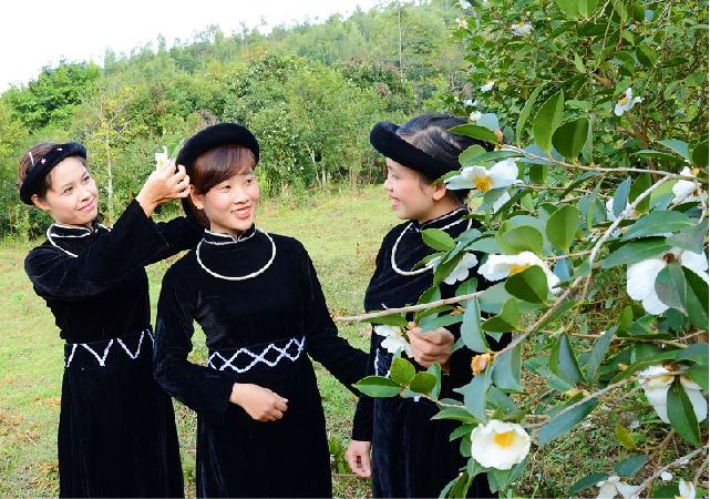le-hoi-hoa-so-binh-lieu-pystravel-02