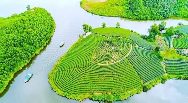 Ốc đảo chè Thanh Chương nhìn từ trên cao (ảnh: @vntraveling)