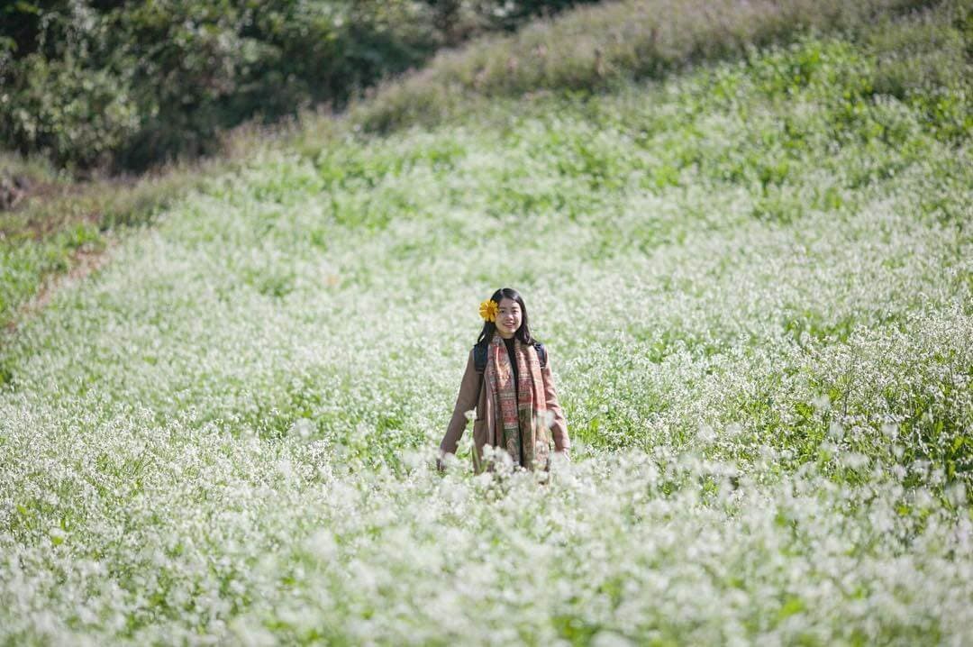 mùa hoa cải mộc châu