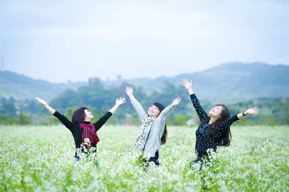 cánh đồng hoa cải mộc châu