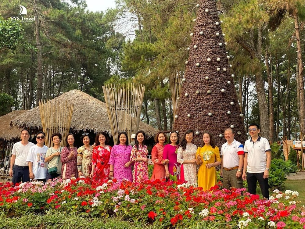 Rừng thông Bản Áng