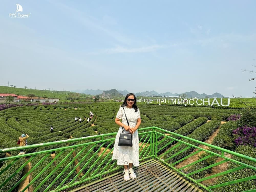 Đồi chè Tân Lập