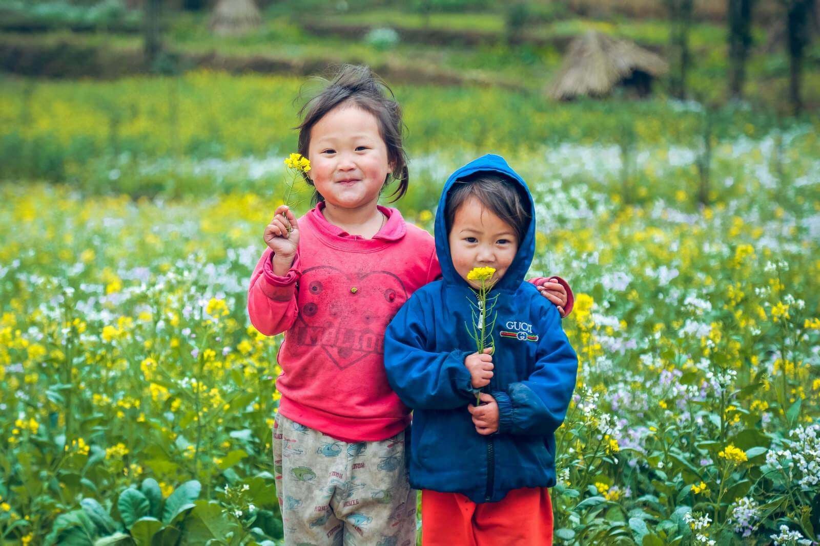 Tour Hà Giang Tết nguyên đán 2026