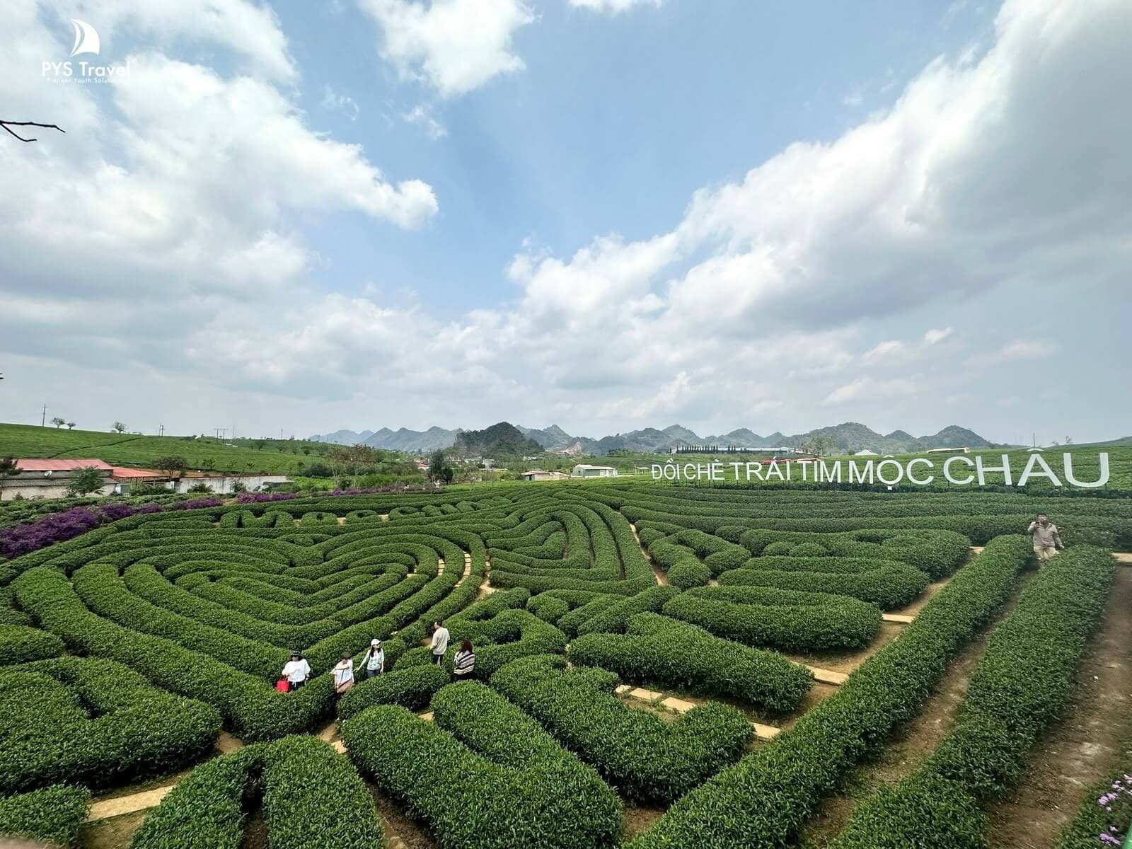 Tour Mộc Châu Sơn La 5N4D tết âm lịch