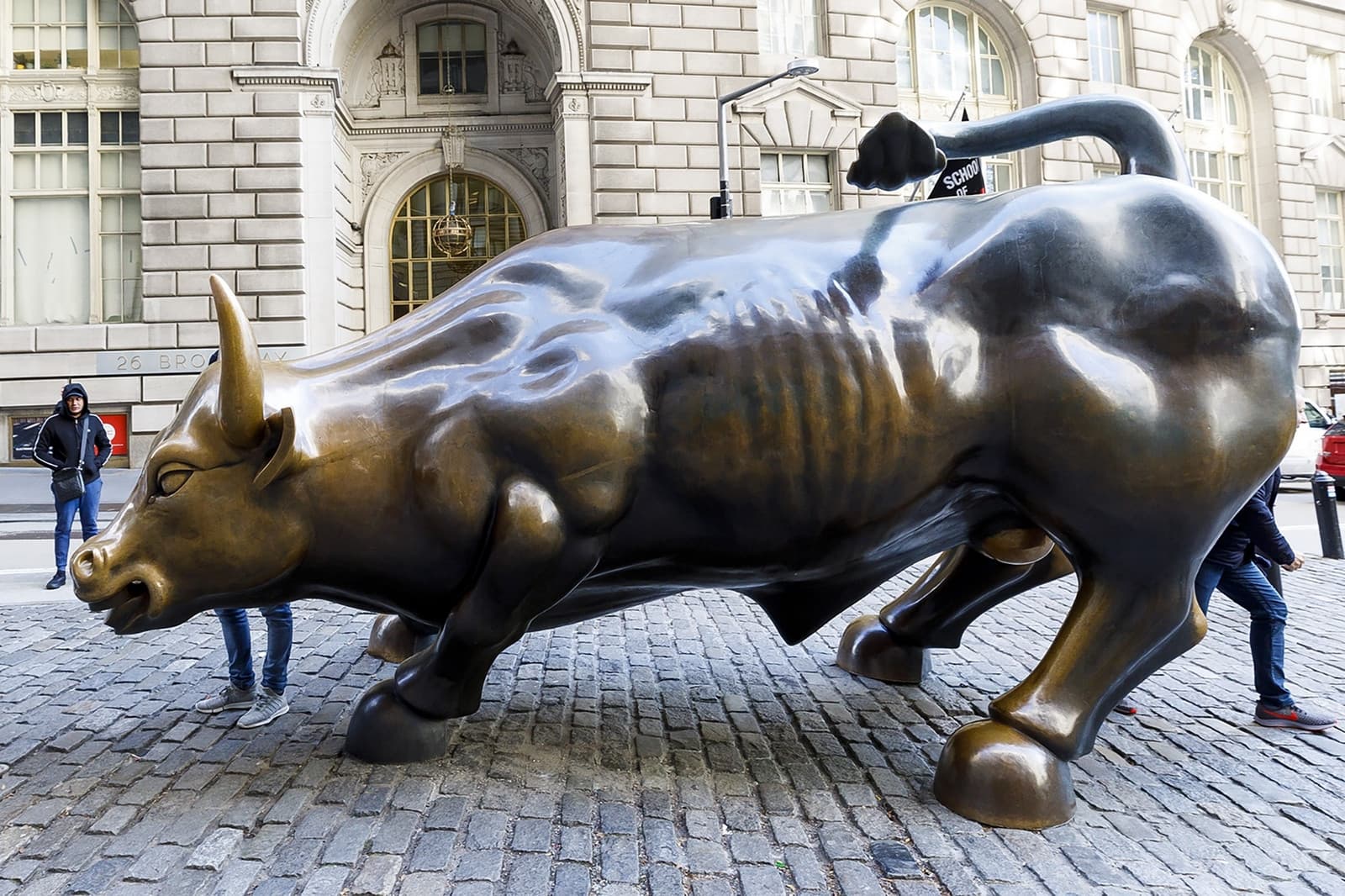 charging bull