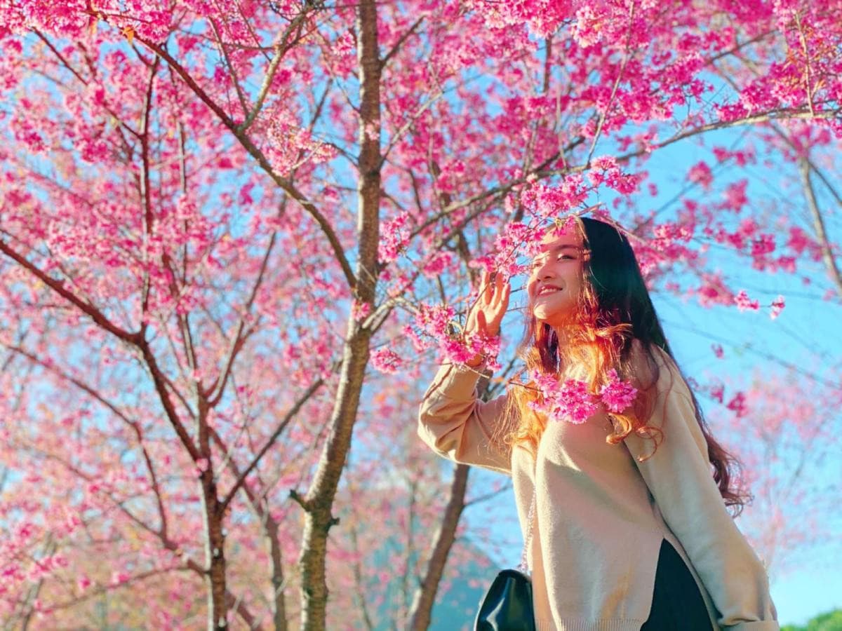 du lịch sapa tết nguyên đán