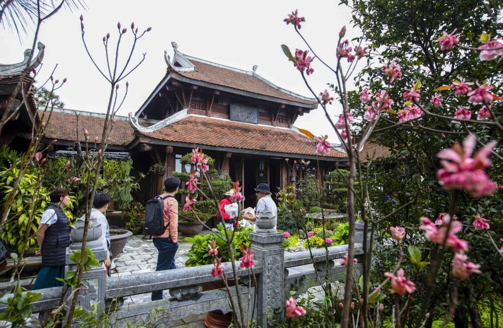 hoa đào chuông ở bà nà hills