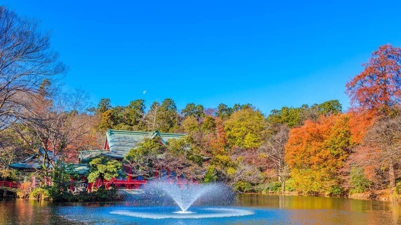 Thời tiết mùa thu Tokyo