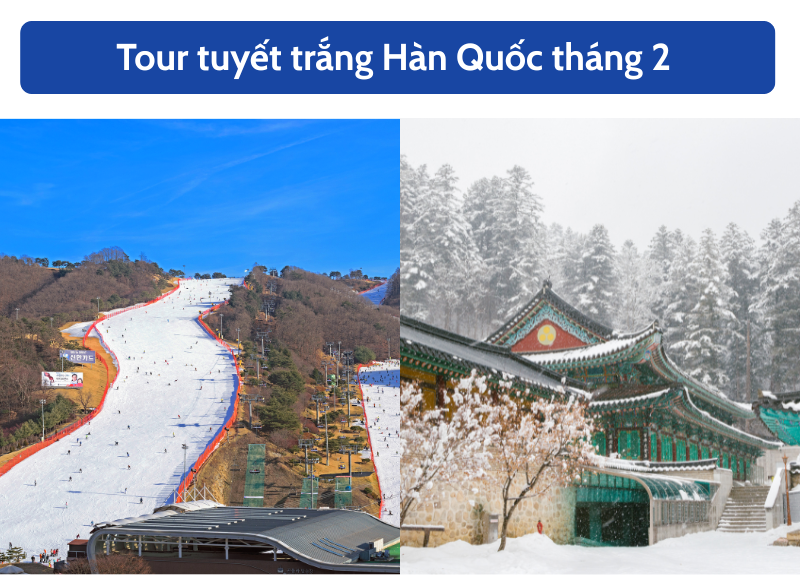 tour hàn quốc tháng 2