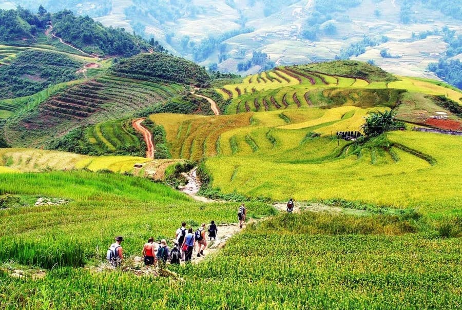 Trekking xuyên bản làng ở Tả Van