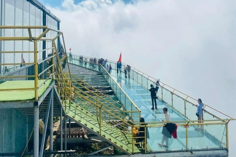 Giá vé cầu kính Sa Pa