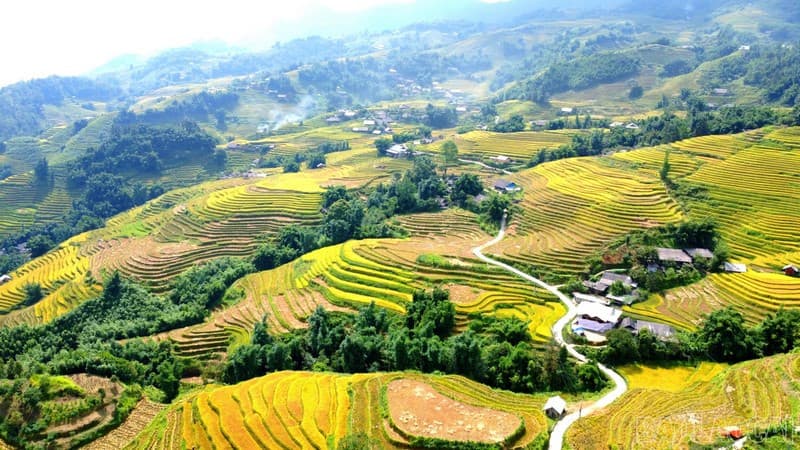 Ý Linh Hồ ở đâu