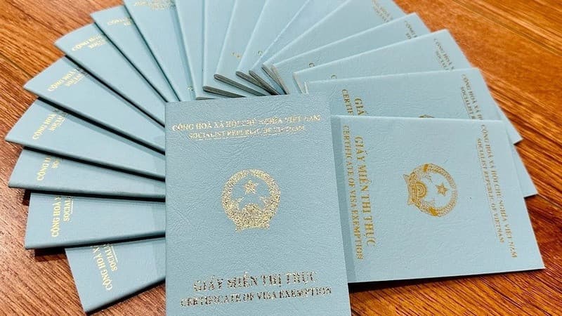 Thủ tục visa cho Việt Kiều về Việt Nam ăn Tết