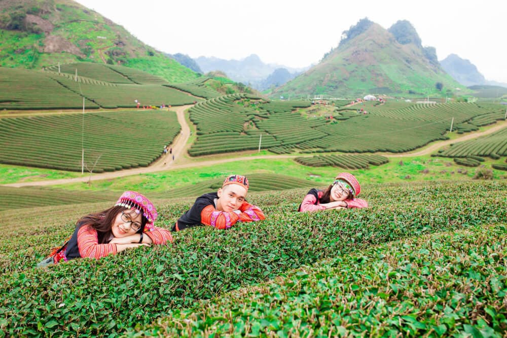 đồi chè trái tim