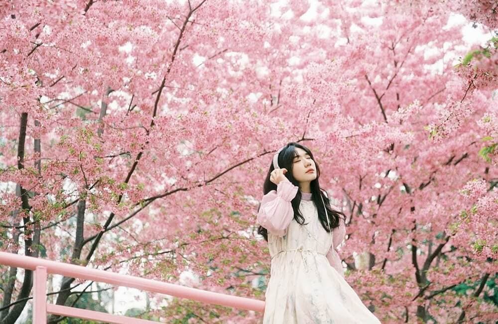 vẻ đẹp công viên manhua