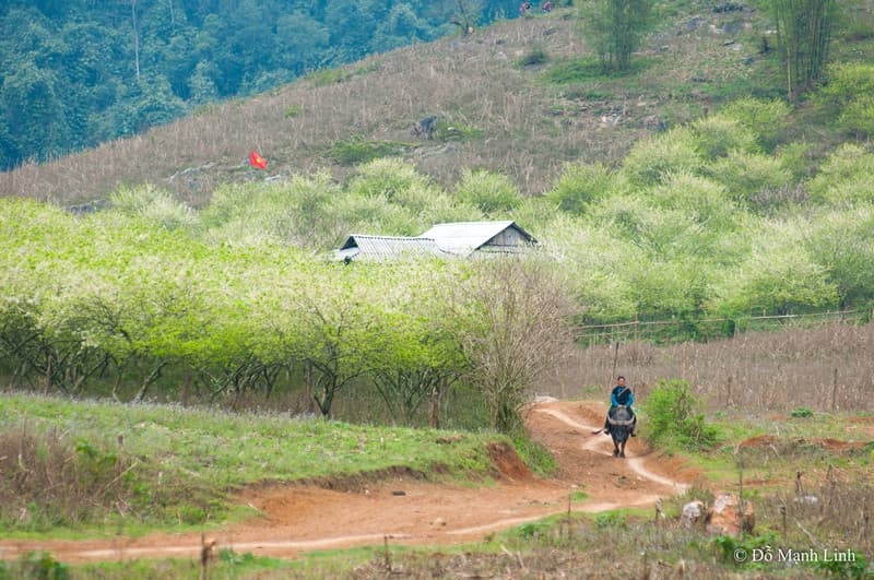 Các bản ở Mộc Châu